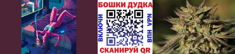 Сколько стоит Лодейное Поле Кокаин  Меф  ГАШ  kraken   Канабис  Галлюциногенные грибы 