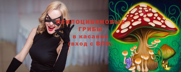 МДПВ Кулебаки