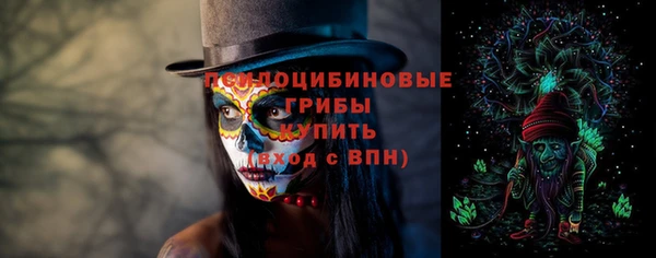 PSILOCYBIN Кукмор