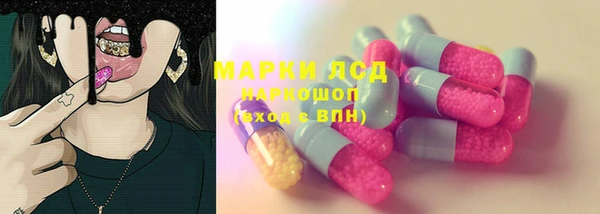 PSILOCYBIN Кукмор