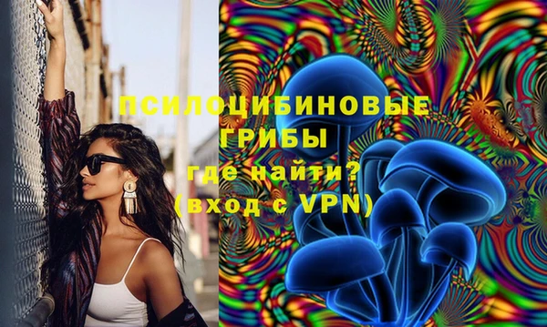 PSILOCYBIN Кукмор