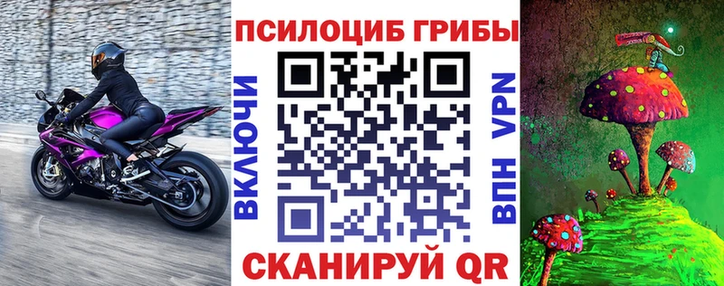 Псилоцибиновые грибы GOLDEN TEACHER  Лодейное Поле 